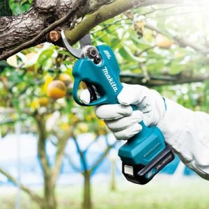 Astschere für kräftige Äste und saubere Gartenschnitte